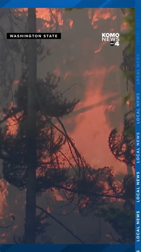 Wildfires across Washington State have burned more than 237,000 acres and counting, with 11 major fires currently burning. The Labor Mountain Fire, burning in and around Highway 97 near Blewett Pass, has grown to over 37,000 acres with 7% containment as of Oct. 1. There are 567 structures or homes under the evacuation zone, according to Jeff Dimke, the Labor Mountain Fire Incident Commander. The fire has also led to a 30-mile closure of Highway 97. Full story on KOMOnews.com #komo #komo4 #komone