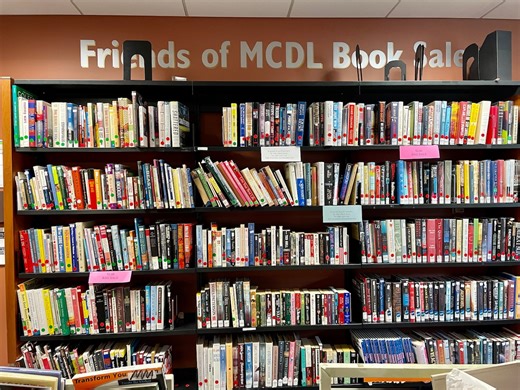 Library fundraising efforts expand with winter book sales across Medina County