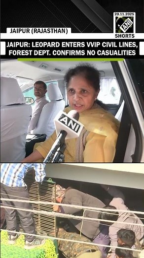 Forest Team tranquillises Leopard in Jaipur’s VVIP Civil Lines after a 2 hour rescue operation