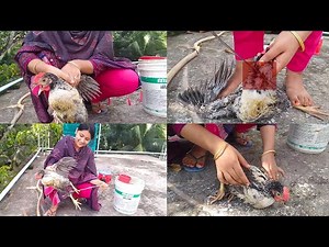 An easy way to butcher female chickens is to keep chickens under your feet