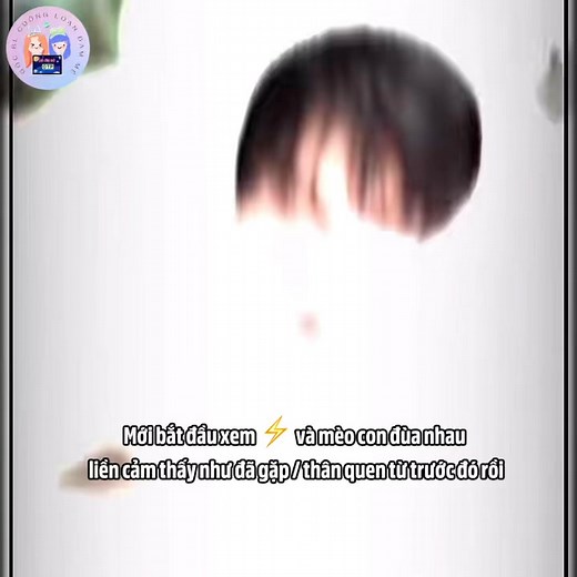 46K views · 4.2K reactions | Điền Hủ Ninh với mèo con VS Điền Hủ Ninh với em mèo ngoan xink iu của mình Ps: Bé mèo ở nhà anh thành tinh lun rồi  - - - - - - XUNING BAZAAR MEN COVER #XuningForBazaarMen #TianXuning #田栩宁 #ZiYu #梓渝 #TianZiYu | Góc bình luận cuồng loạn Đam Mê - 疯狂评论耽美 | Facebook