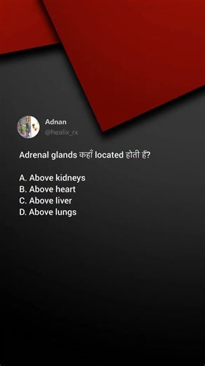 𝗔𝗗𝗡𝗔𝗡 | Part-4 Endocrine System #medical #anatomy #explore #pharma #healixrx | Instagram