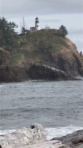 Wait for the wave