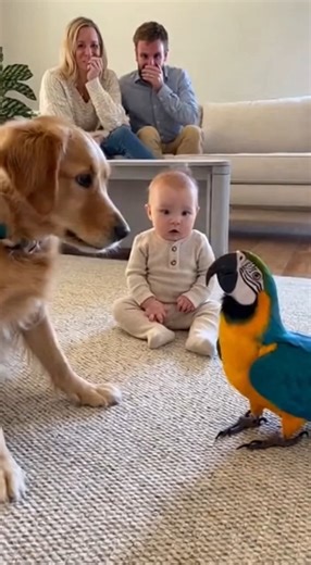 The Dog Barked… The Parrot Barked Back 😳🦜🐶 | FurReal
