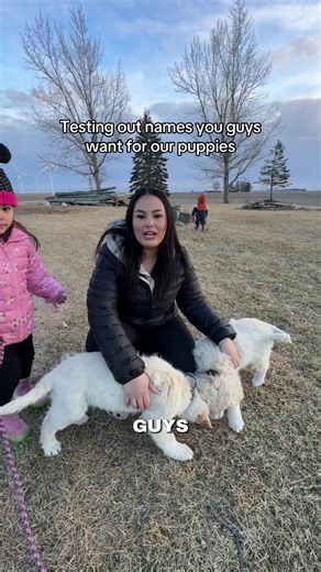 #foryoupage #puppies | puppy