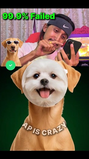 Complete the hard challenge 💪 #challangevideo #missionimpossible #apiscrazy #challange | AP is CRAZY