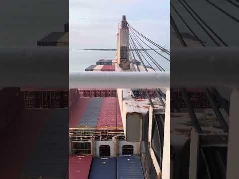 Piloting a Container Ship for Arrival | Real-time Harbour Pilot POV