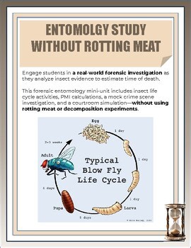 Forensic Entomology Lab: No Body Farm Required