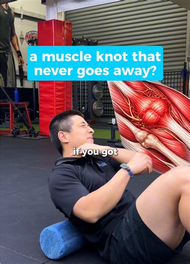 If you thought muscle knots just need to be relieved with pressure - here’s why that’s not the case 💪🪢 #osteopath #massage #mythbusting #muscles #treatment