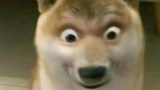 TALENTLESS-FOX-BSQ MIX GAMEPLAY