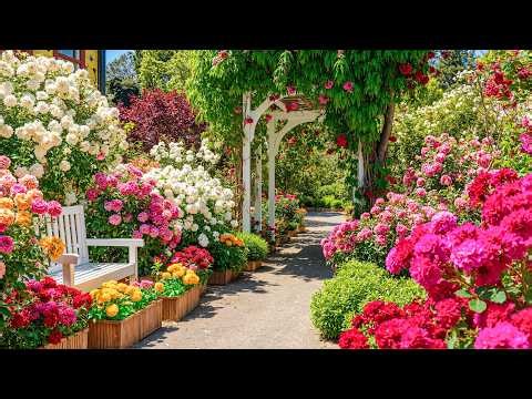 99% Feel Calm Watching These Gardens 🌸 Beautiful Flower Paths That Heal Your Mind 💗