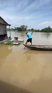 Traditional dip-net fishing for Thieu fish in the river regions of upper An Giang