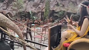 OUTBOUND BARENG DINOSAURUS DI MOJOSEMI ‼️ AYO AGENDAKAN 💜🥰🥳 . . ✅Outbound ✅Gathering ✅Menginap ✅Bermain wahana ✅Lihat dinosaurus ✅Kuliner ✅DLL Mau tau informasi terkait outbound dan penginapan cek link dibawah ya 👇👇👇👇 https://lynk.id/mojosemi | Mojosemi Dinosaurus Park