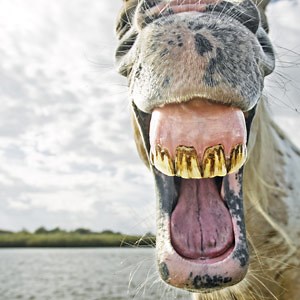 Top 5 Funniest Banking Ads