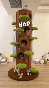 67K views · 852 reactions | Cat owner make tree house for cats | History Facts | Facebook