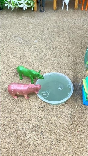 DIY Mini Water Pump Science Project | Hippo 🦛 & Rhino 🦏 Drinking Water Video #shorts
