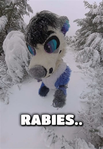 I’m too thirsty for rabies | bunny with rabies