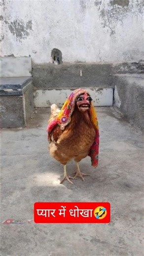 धोखेबाज बंदर🤣 #thetharpuns #hinarahulvlog #shorts #viral #trending