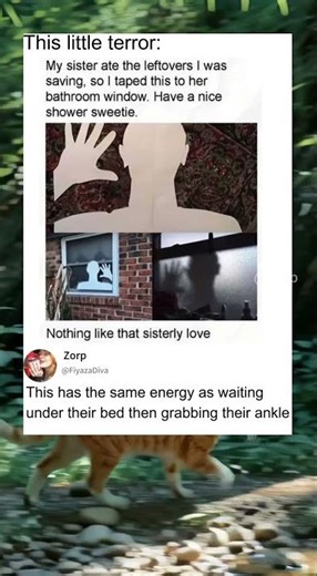 #liveperformances 😴