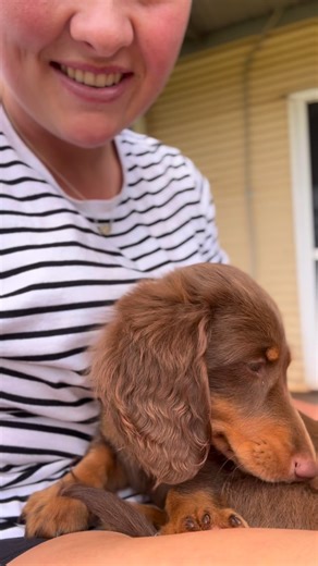 J A Z S T E W A R T on Instagram: "12 months ago at the ripe old age of 23 I said yes to something that would ultimately change my life. I left everything familiar and comfortable that I had at Flora Valley for four years when given the opportunity to take on our own station. 12 months of growth, learning and so many adventures. New friends, new challenges and new opportunities that I wouldn’t change for the world. I am forever grateful for the support and encouragement I am surrounded with. Wor