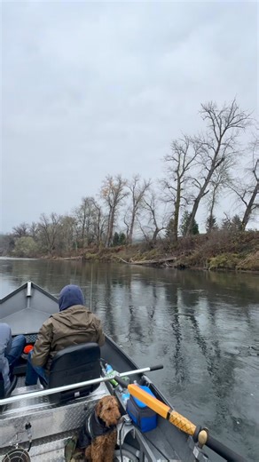 Shane Blair on Instagram: "Snuck a day in before the storm ! Some good action kept us warm for a bit … First day on the water for me this winter it felt like “Winter” Call or text to book at 541-761-7797 Captain Shane Blair , Blair’s Guide Service #wintersteelhead #steelheadfishing #oregonfishing #southernoregon #rogueriver #umpquariver #chetcoriver #guidedfishing #fishingguide #pnwfishing #flyfishing #swingthefly #wildsteelhead #fishinglife #getoutside"