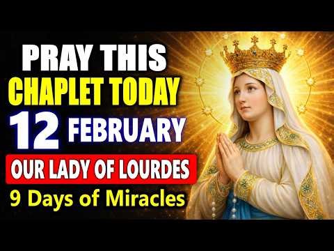 🙏 POWERFUL Chaplet to Our Lady of Lourdes for an Impossible Miracle