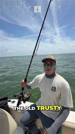 Catching huge Jacks in the surf chasin bait!!