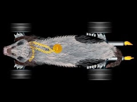How to get The Wampus in Nitro type