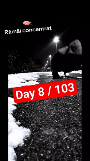 Ziua 8/103 ✔️ 100 flotări 💪❌️ nu țigări❌️ nu alcool #day8 #challenge #discipline #viral#motivation