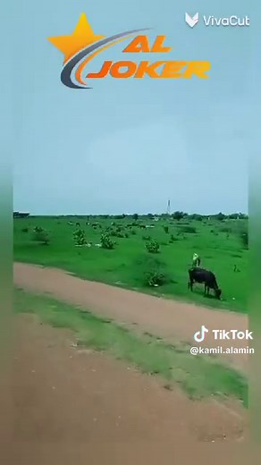 Kamil Alamin on TikTok