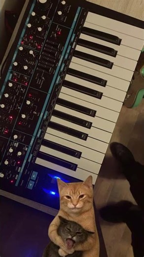 Mashing buttons in AFX mode #electronicmusic