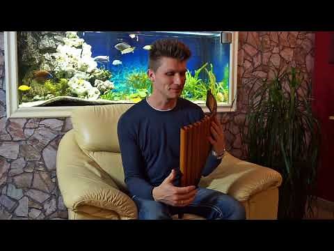 Erste Töne auf der Panflöte – Lernvideo & Panflöten Tipps - David Döring | Flauta de Pan | Pan flute