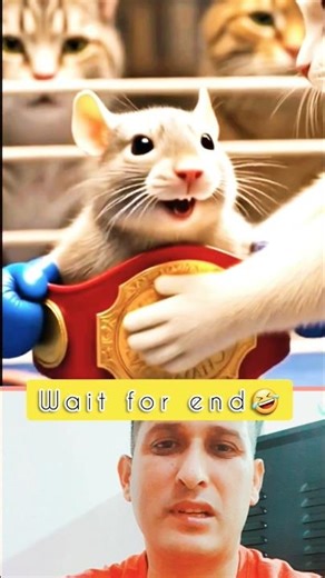 Funny rat boxing fight #cat #rat #boxingtraining #funnyshorts #aishorts
