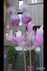 SCOTLAND THISTLE.... What ever story you believe or have heard one thing always resonates....this spiky wee plant in all stories acted as a barrier or defence for Scotland during some difficult times wether its from English attacks or Norse invasions. ...Largs or Edinburgh Perth or the Borders I think we can all agree the Thistle has had oor back 😉 #ThistleTime #Thistle #VisitScotland #scotlandexplore #History | The Society of John De Graeme