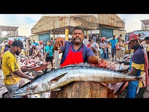 WOW! Amazing Huge Fish Cutting Show on Street by Master Experts!