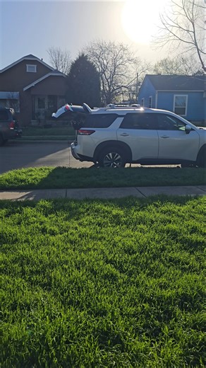 Dogs won't leave open trunk without release