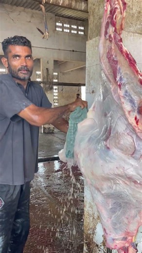 Professional Beef Skin Removing | Slaughterhouse Work Process #shorts