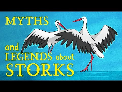MYTHS AND LEGENDS ABOUT STORKS | Animation Story by #MobyArt