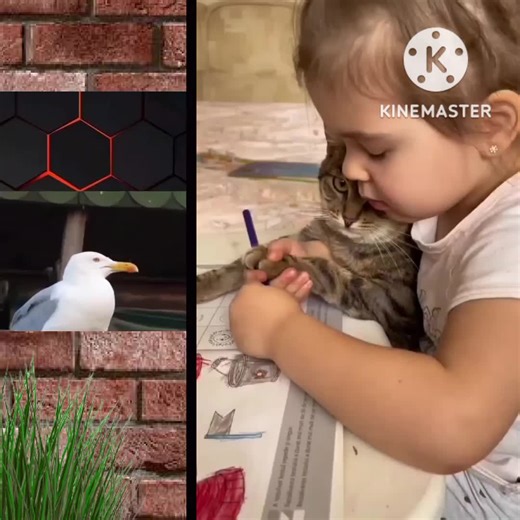 Creative Drawing with a Cat: A Child's Art Adventure
