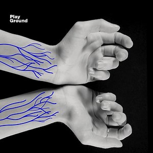 108K views · 111 reactions | Why are royalty and the nobility said to have 'blue blood'? | PlayGround + | Facebook