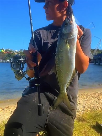 Fishing Tips for Tailor at Swan River