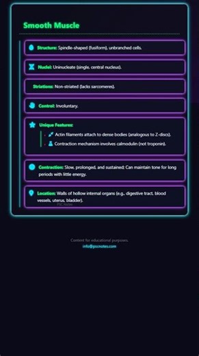 Smooth and Cardiac Muscle: Unique Characteristics and Contraction