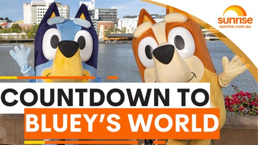 Countdown to Bluey's world