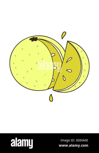 changing color animation of cartoon orange slice Stock Video Footage - Alamy