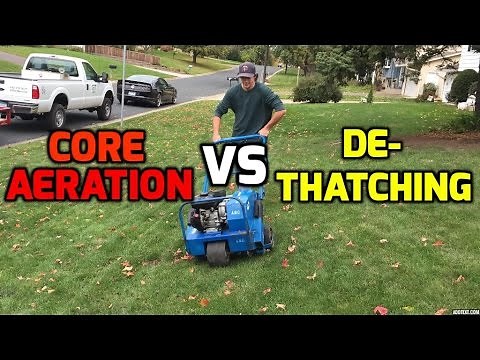 Yard Care Tips- Aeration & DeThaching for an Awesome DIY Lawn White Bear lake Mn