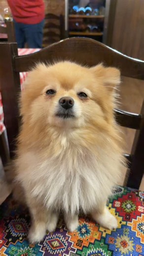 #GSTZ | Gasttozz Licno on Instagram: "UZIVAM FAMILIO!"