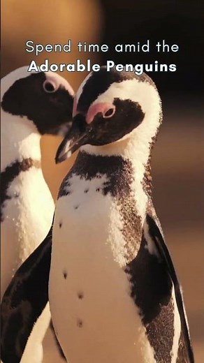 Dubai Aquarium and Underwater Zoo | World's Largest Indoor Aquarium