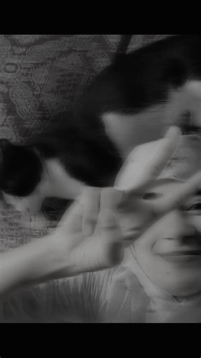 @ Samba&shaharia (@sambashahariastory)’s videos with original sound - M..⚔️