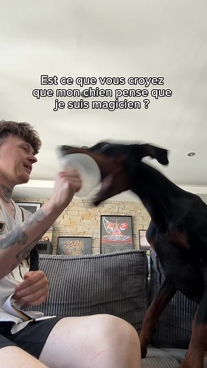Magie et humour : l'incroyable dobermann