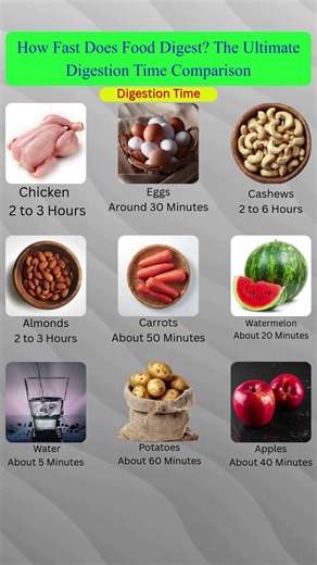 How Fast Does Food Digest? The Ultimate Digestion Time Comparison #healthylifestyle #healthydiet